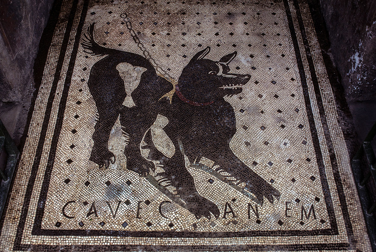 About Pompeii - A beautifully preserved mosaic at the House of the Tragic Poet