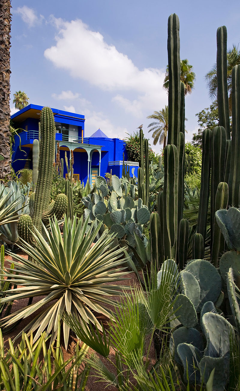 Things to do in Morocco – Jardin Majorelle